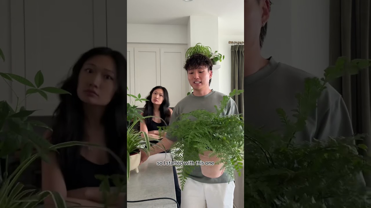 Leave a nice comment RIGHT NOW 😡 #couple #couplecomedy #shorts