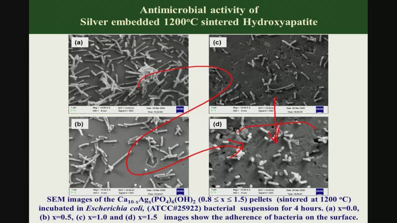Lec36 HA ZnO, Cell fate & antimicrobial