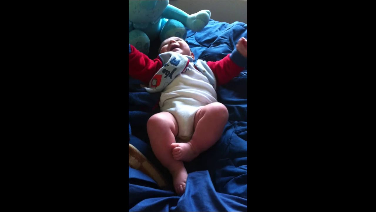 león viendo babytv