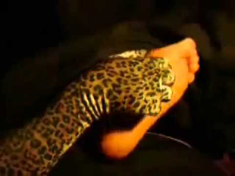 Leopard Lady Tickling Feet To Man