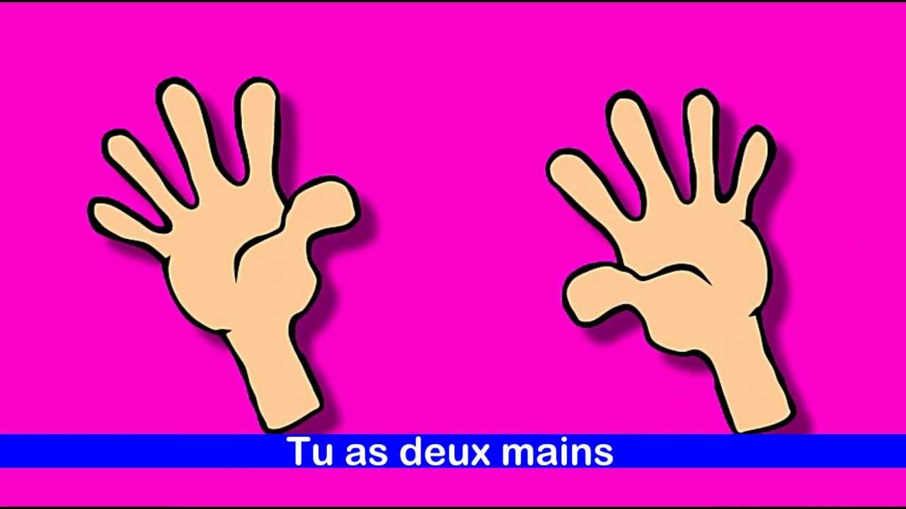 Les parties du corps - Des os, il en faut - alain le lait  (French body parts)