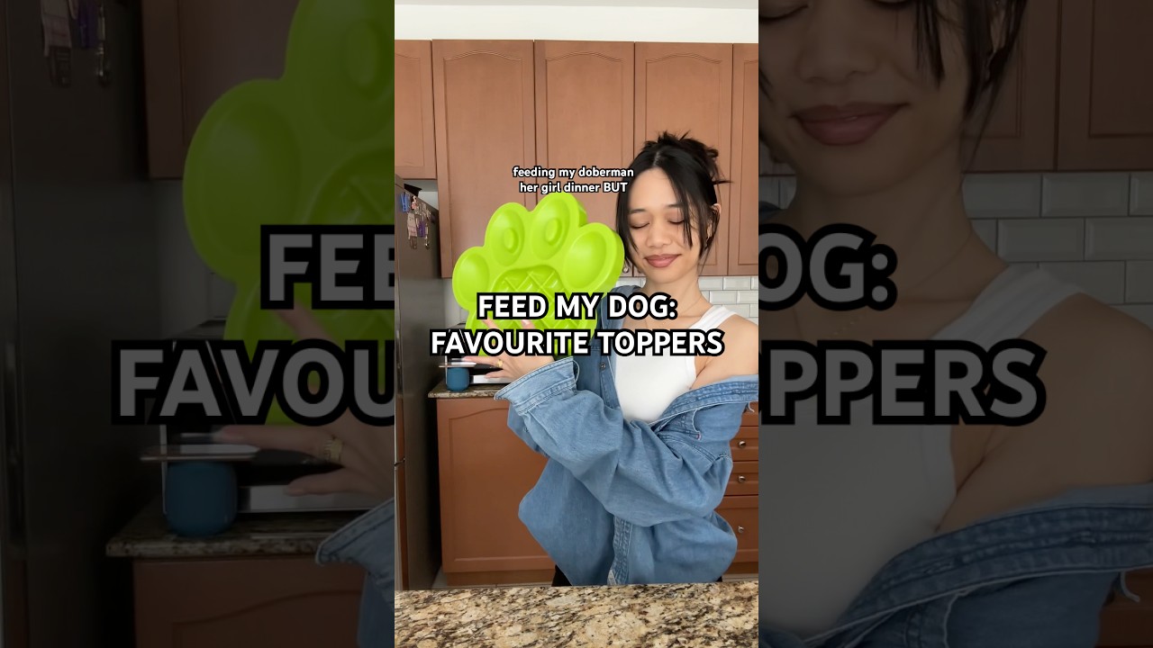 let’s talk dog food toppers! 🙂‍↕️🫶🏼 FD raw:  @openfarmpet #dogshorts #dogfeeding #dogfood