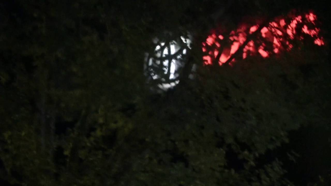 LEUTE - COLOURBLIND