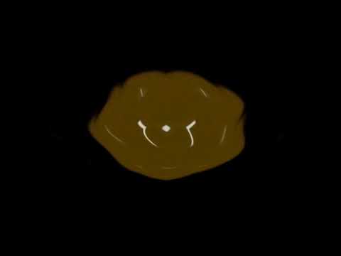 LG Logo 1995 in G Major 477 in G Major 677