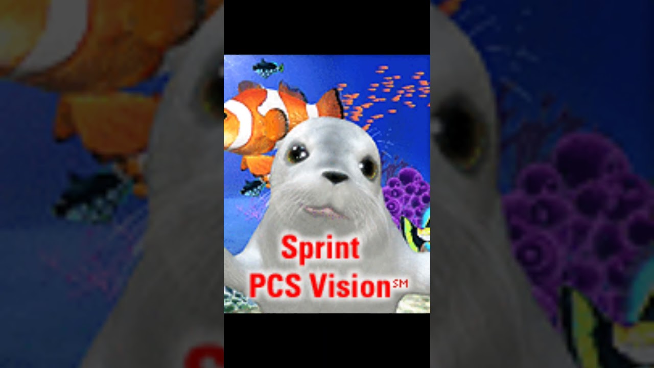 LG PM325 - Startup/Shutdown (Sprint)