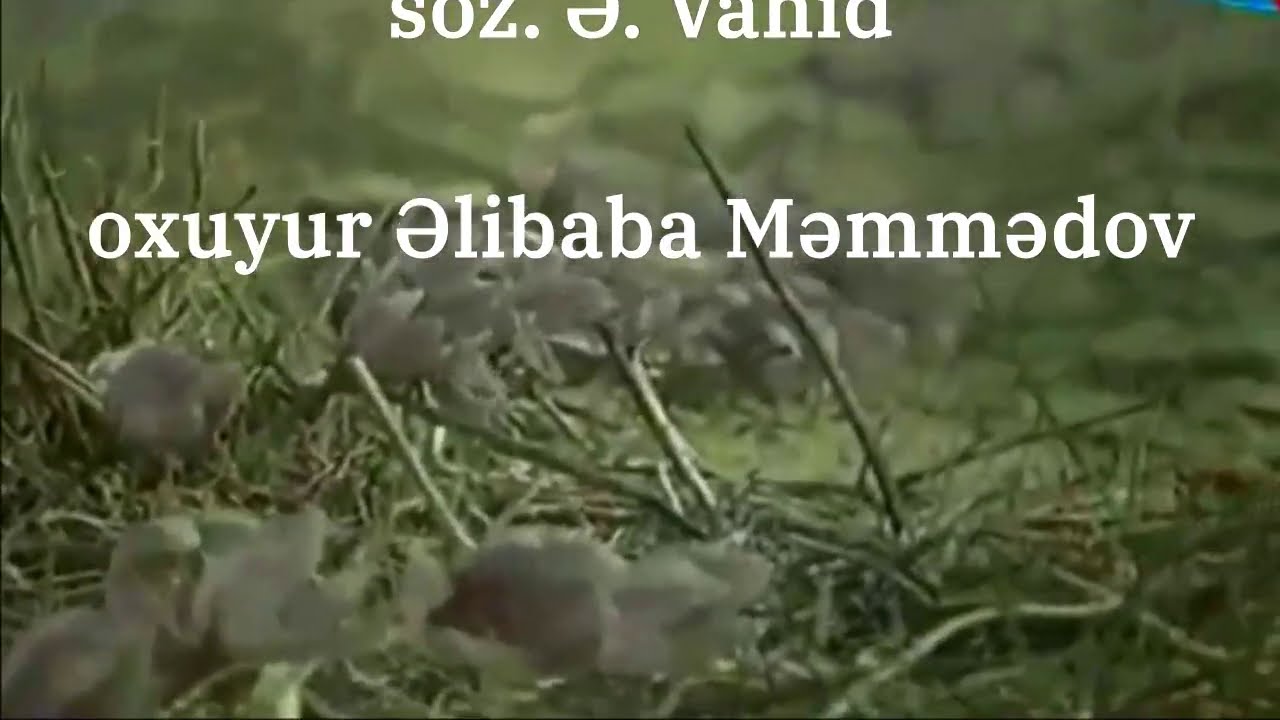 Əlibaba Məmmədov - Vətən yaxşıdır (Xudayar təsnifi)