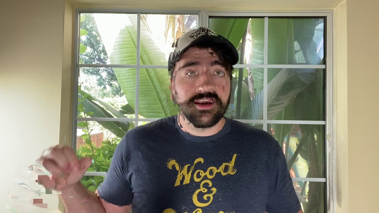 Liberal Redneck - Y'all Should Vote and Why