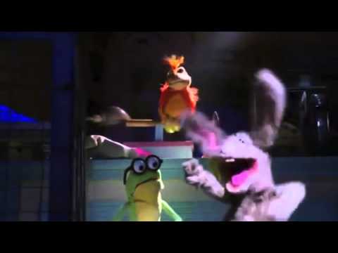 Life as a Pet
