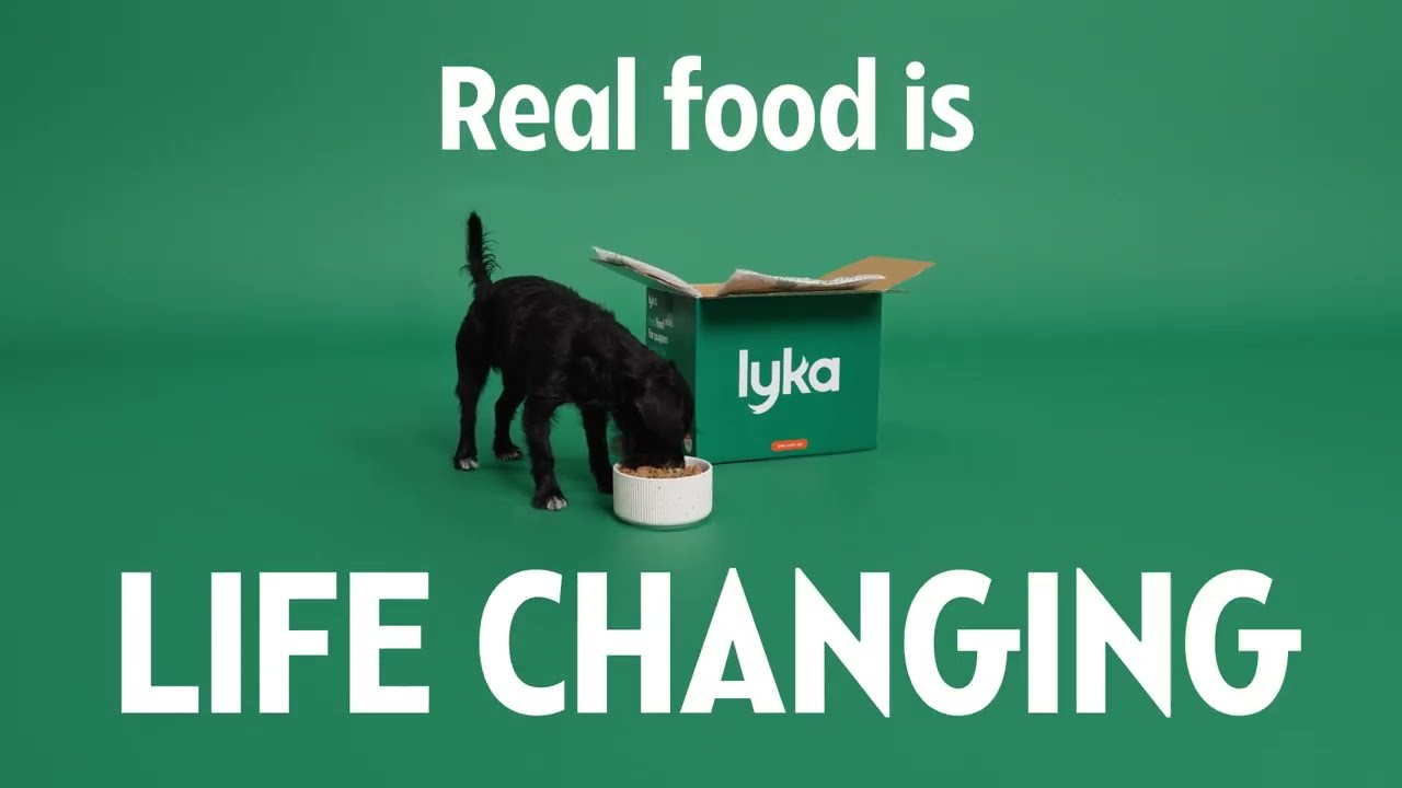 Life changing dog food from Lyka