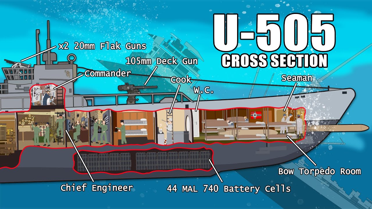 Life Inside a WWII Type IXC Submarine (Cross Section)