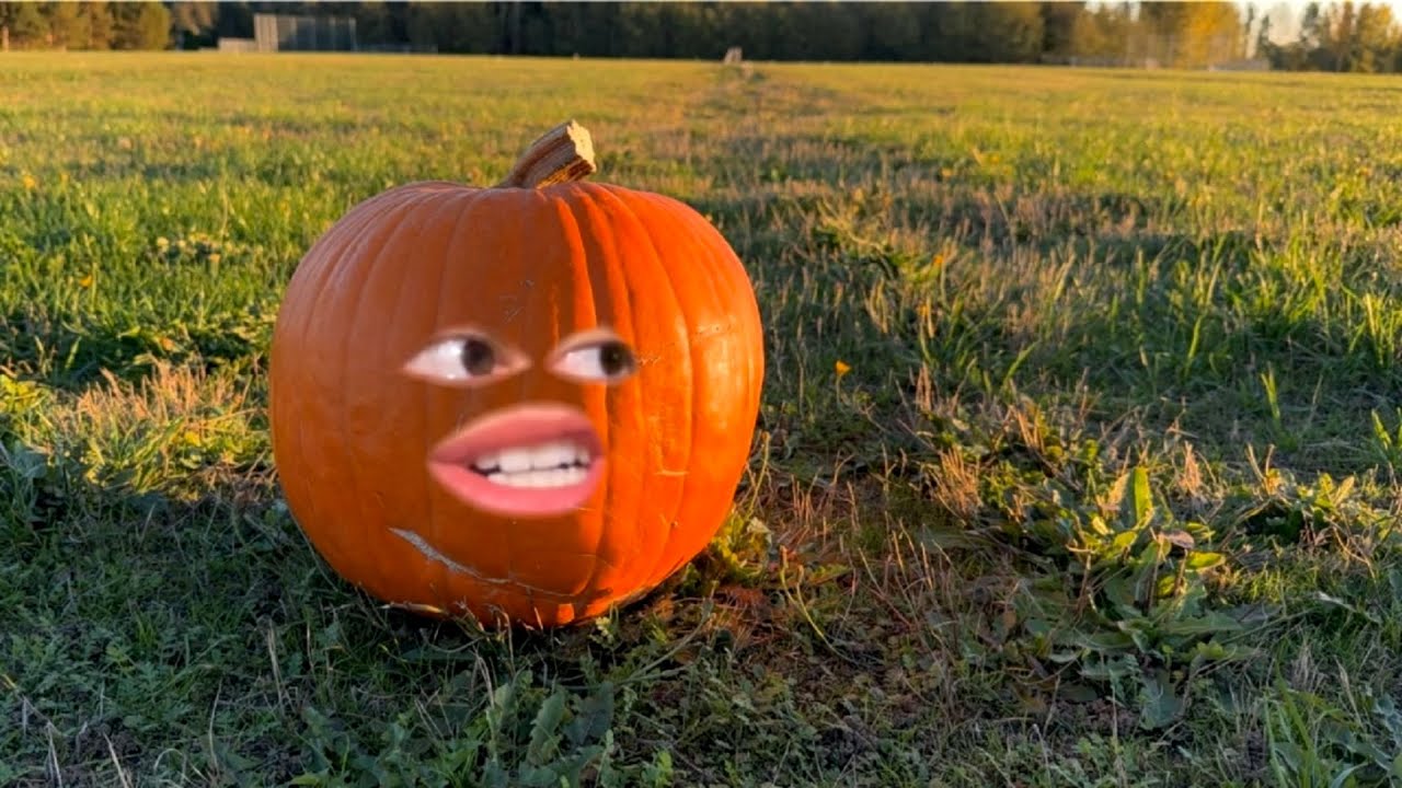 Life of A Pumpkin