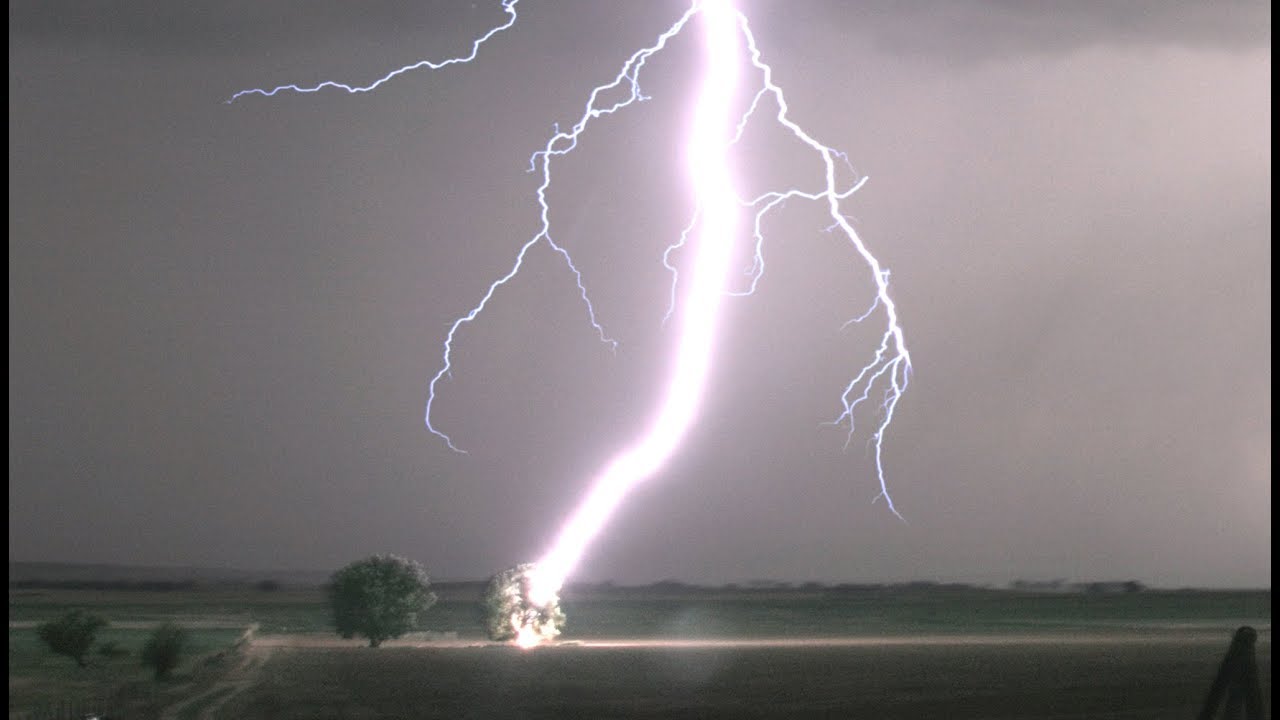 Lightning Striking Tree in 4K - Tree Catches on Fire !!!