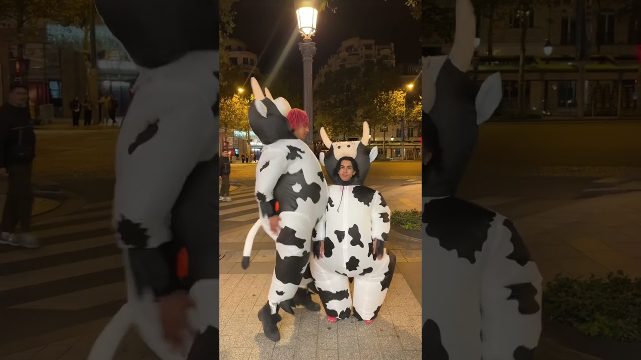 Lil Twin cow | #viral