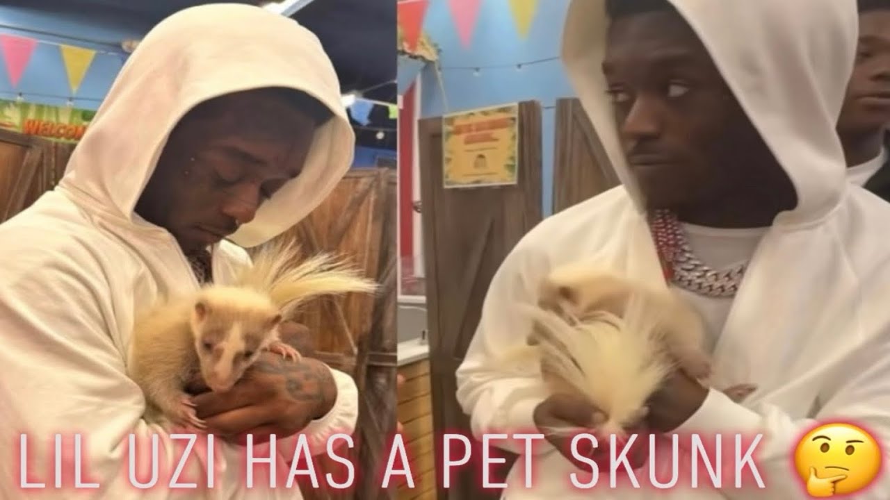 Lil Uzi Buys a Pet Skunk