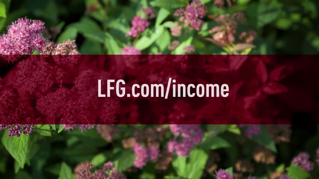 Lincoln Financial Group and the Alliance for Lifetime Income