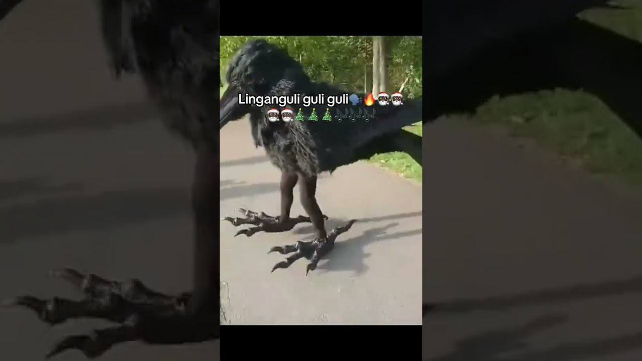 Linggang guli guli gwacha ling gang goo #youtubeshorts #viralvideo #viral #brainrot