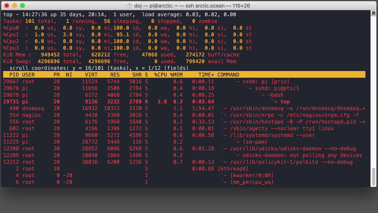 Linux top - real time process monitor