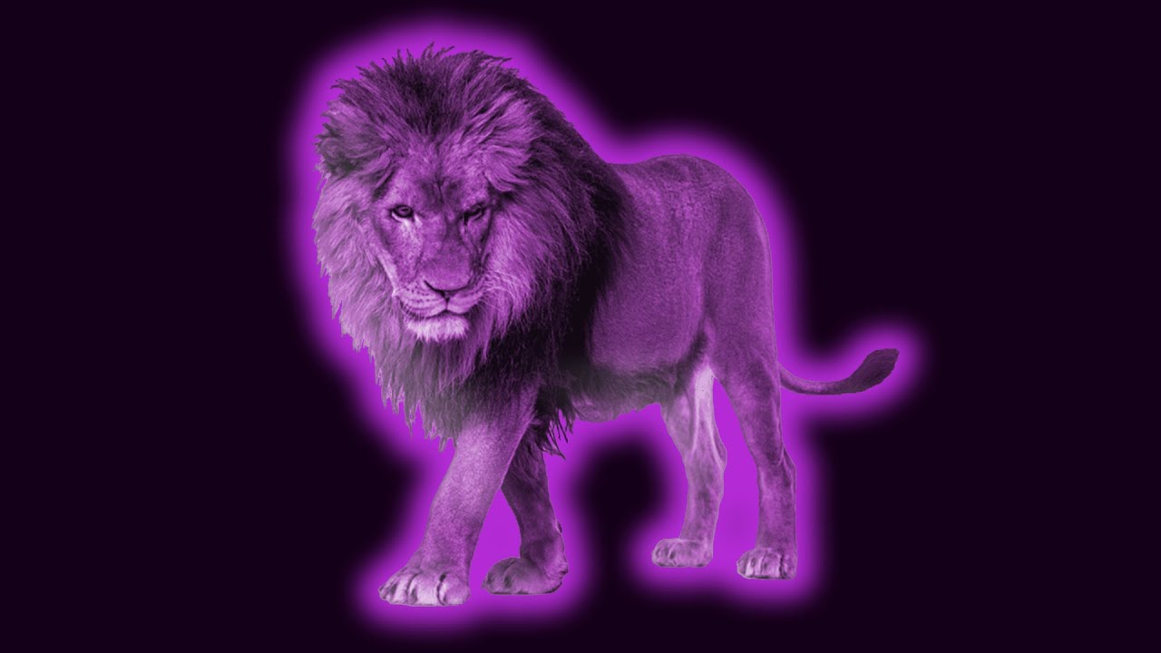 Lion Roar Noise Sound Effects
