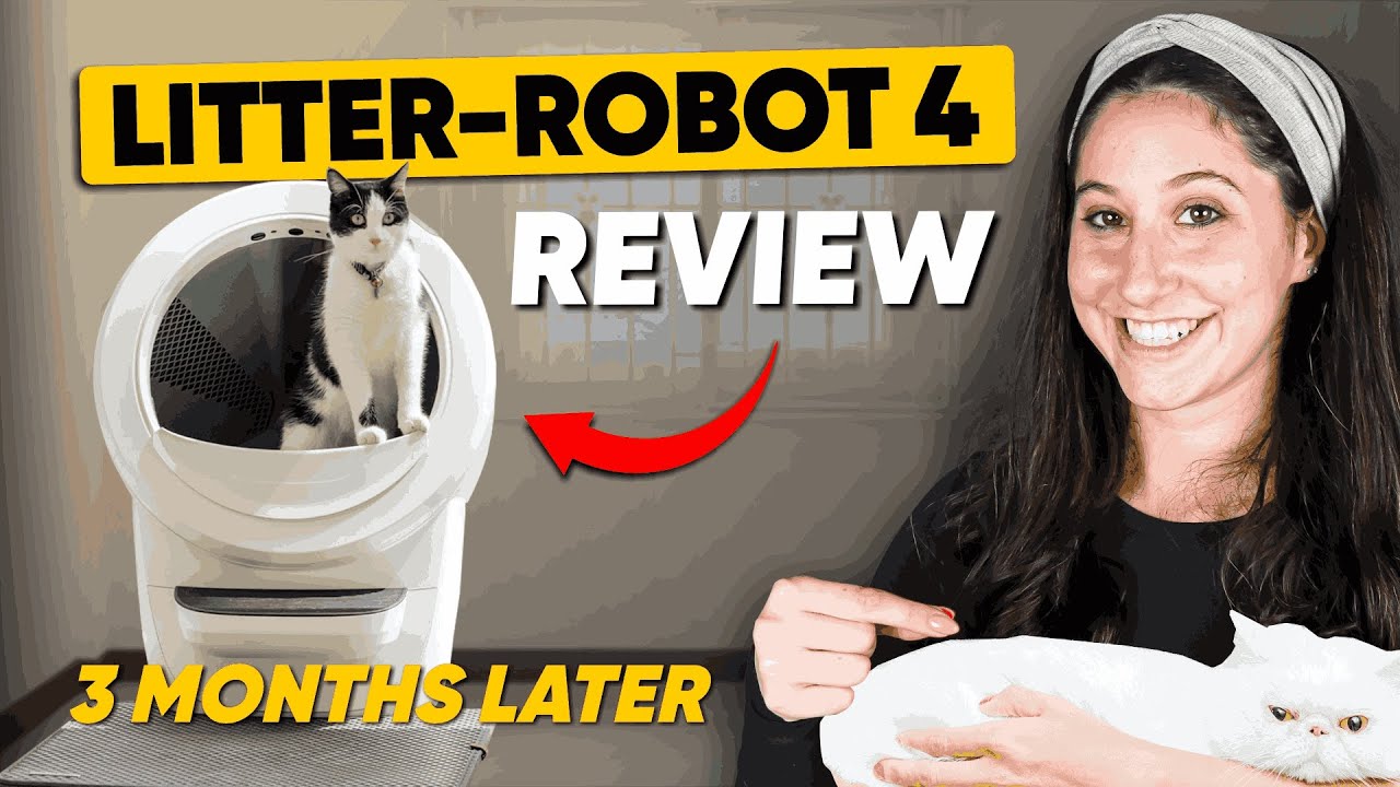 Litter-Robot 4 Review | Insights on Odor, Noise & Daily Use