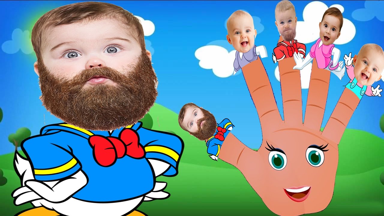 Little Babies Donald Duck Funny Finger family Song Nursery Rhymes lyrics