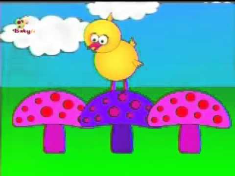 Little Chick de BabyTV Jardín