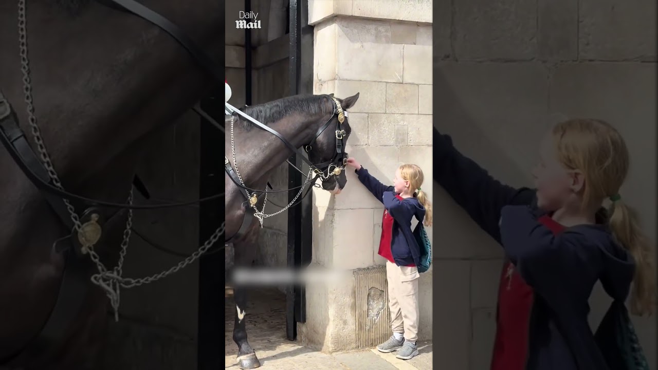 Little girl gets a kiss from King's Guard horse