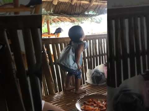 Little girl twerking #trending #trend #shorts #viral #viralshorts #viralvideo #trendingshorts #funny