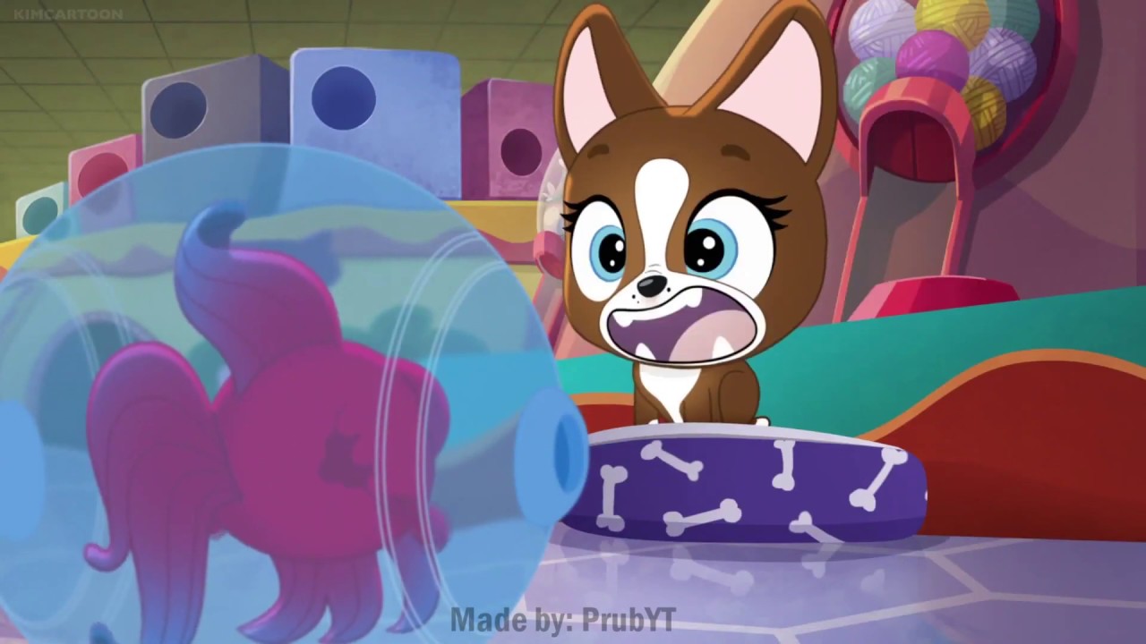 Littlest Pet Shop Burp Compilation | Female