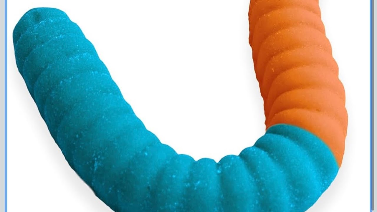 LIVE 3 pounds SOUR GUMMY WORM ASMR