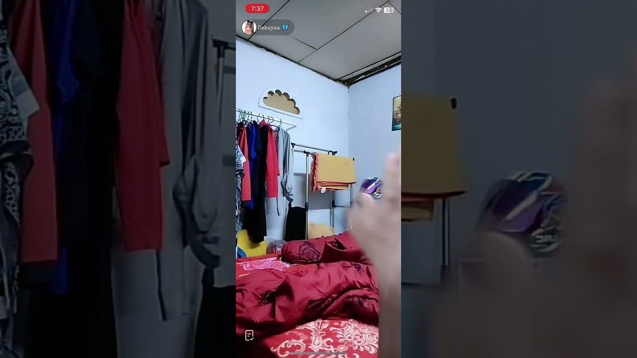 Live deksya 2