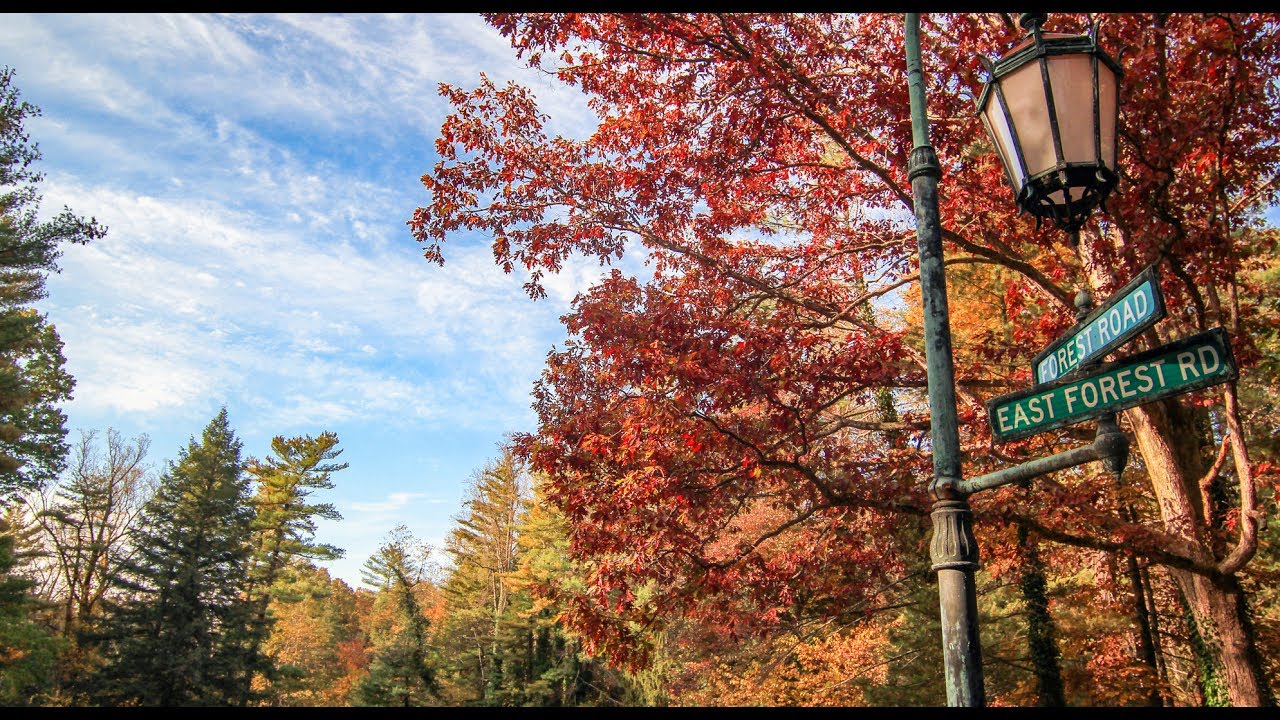 Live the Life You Choose in Biltmore Forest, NC