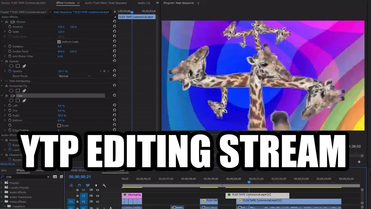 Livestream 7-19-17 | Giraffe Insanity YTP Editing!