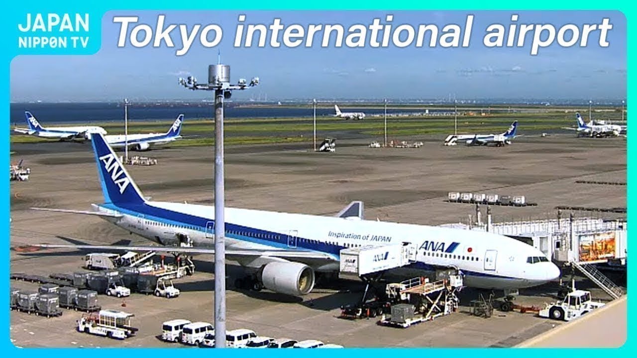 【Live】Tokyo International Airport ,Haneda Plane Spotting (NipponTV News24)  IATA: HND, ICAO: RJTT