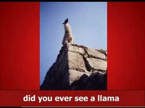 Llama Song (with official MP3)