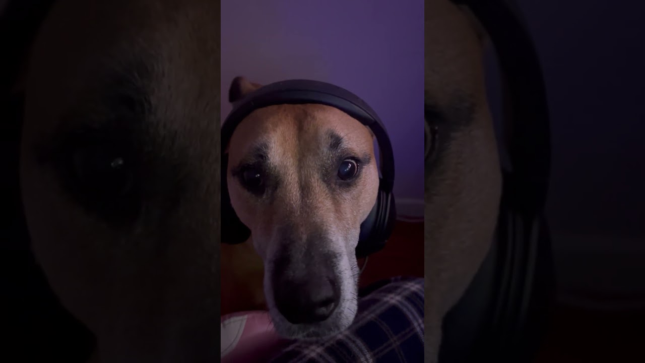 LLXLLIE FACE REVEAL