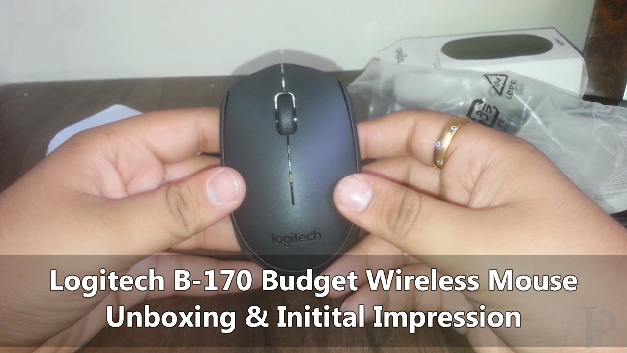 Logitech B-170 Budget Wireless Mouse