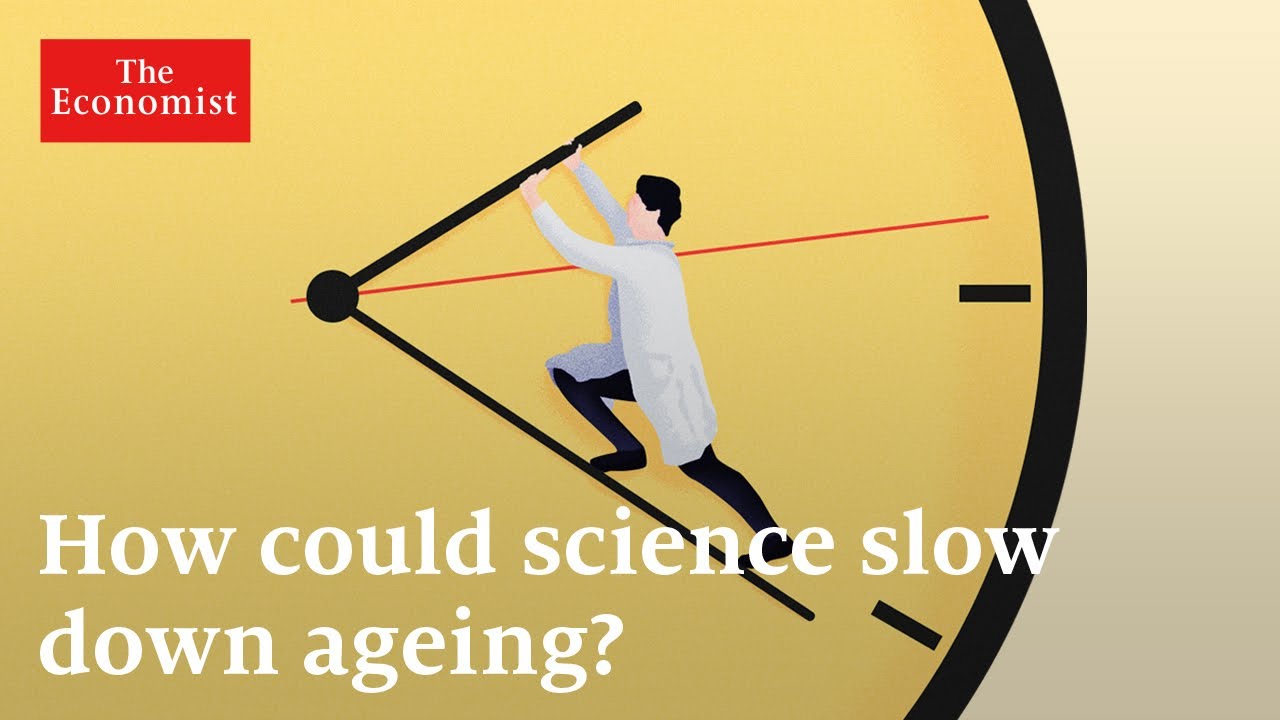 Longevity: can ageing be reversed?