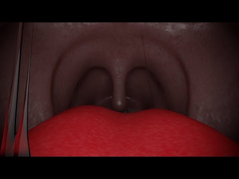 Loona Endoscope Exploration | POV Animation