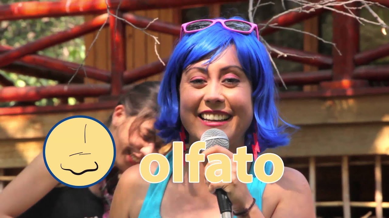 Los cinco sentidos - Cantando Aprendo a Hablar