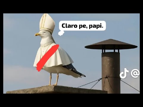 Los mejores memes el papa es peruano