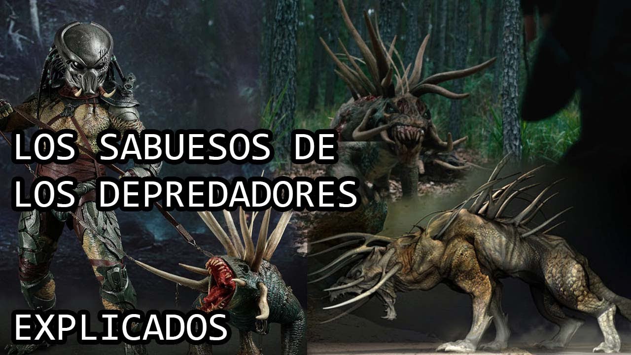 Los Sabuesos de los Depredadores o Predators HellHounds EXPLICADOS