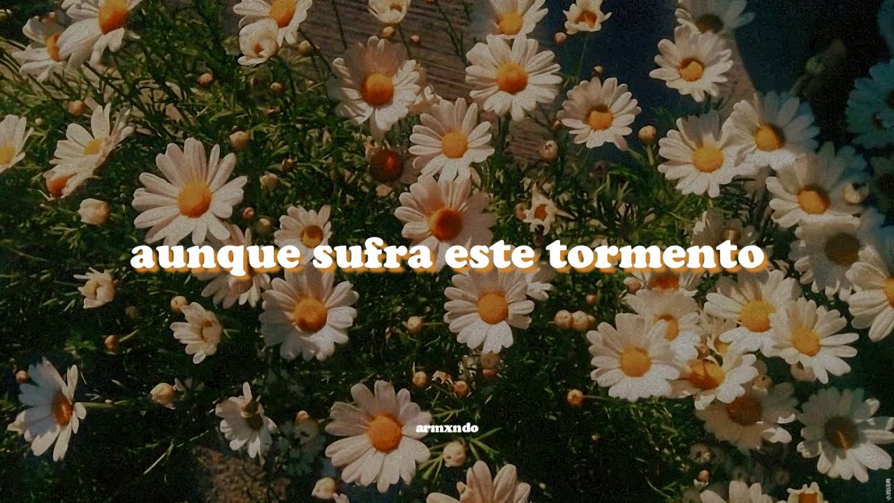 Los Terrícolas — Te Juro Que Te Amo [Letra]