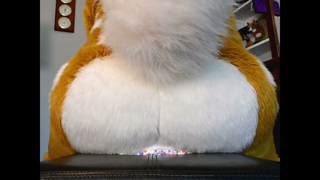 Lotus Lafawn Sits on a Cake