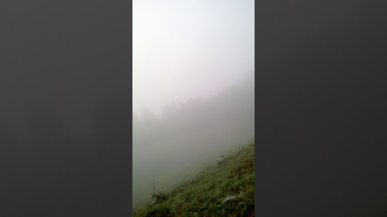 Lov na lisicu cigo i ciga