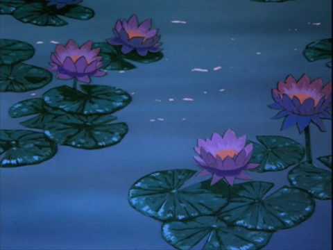 Love goes on - Robinhood