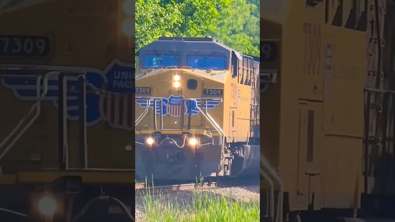 LOVE THE HORN ON THIS C44ACM! #trains #unionpacific #locomotive