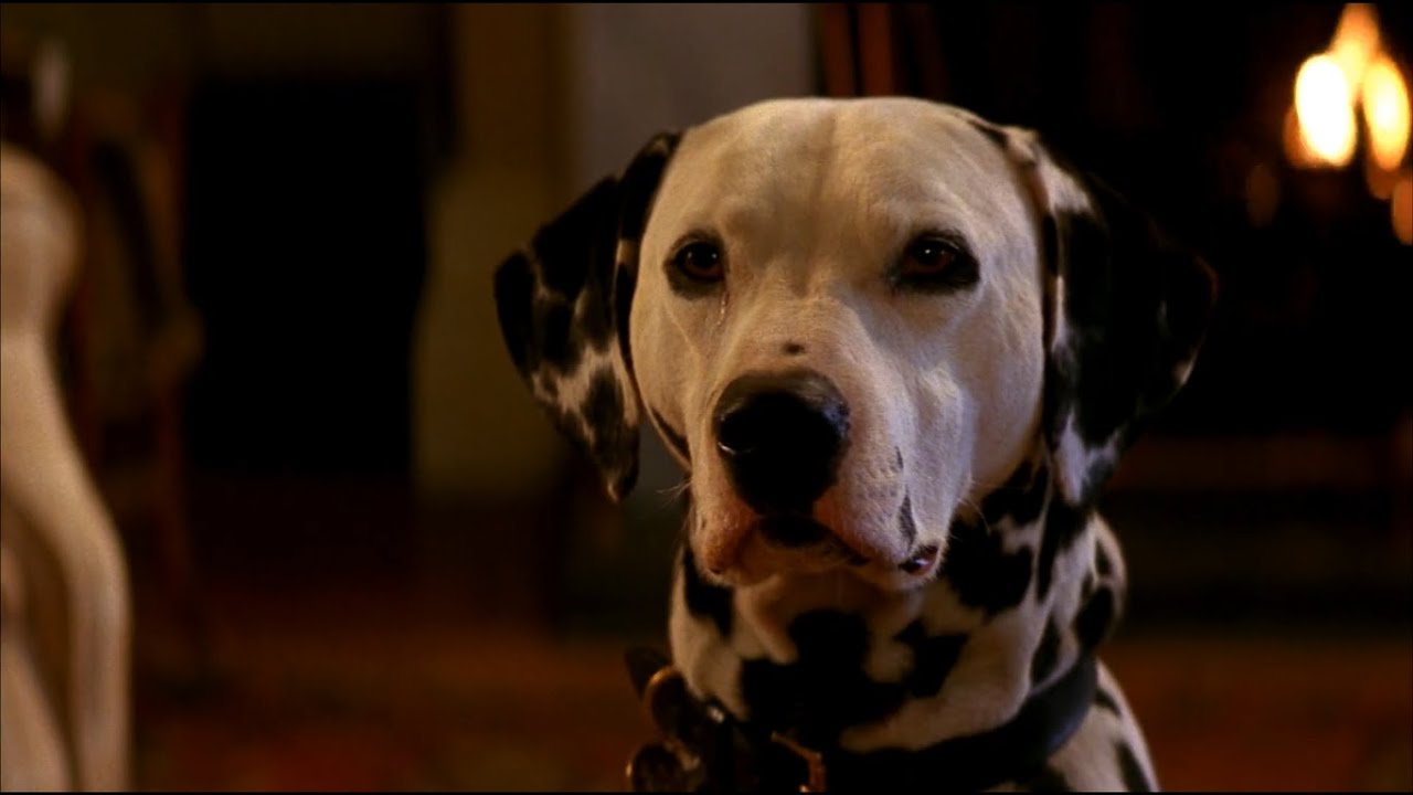 Lucky - One of Fifteen Puppies who nearly dies soon after his birth - 101 Dalmatians