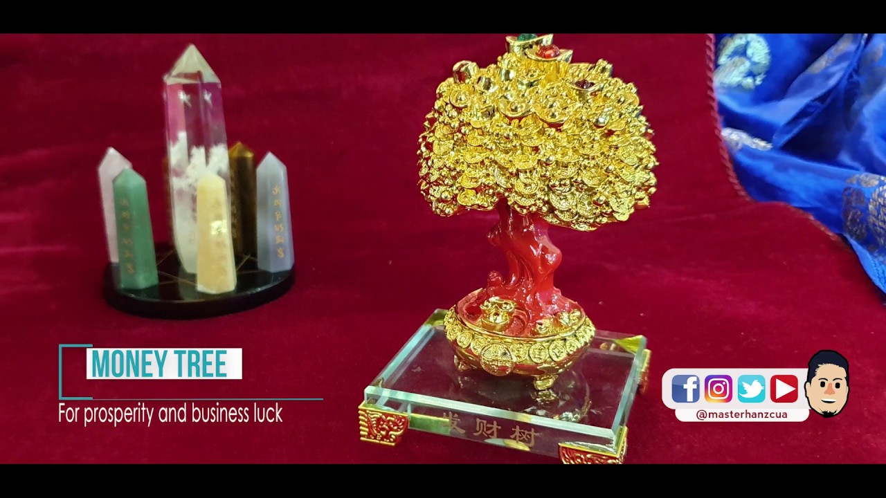 Lucky Charm Item: Money Tree