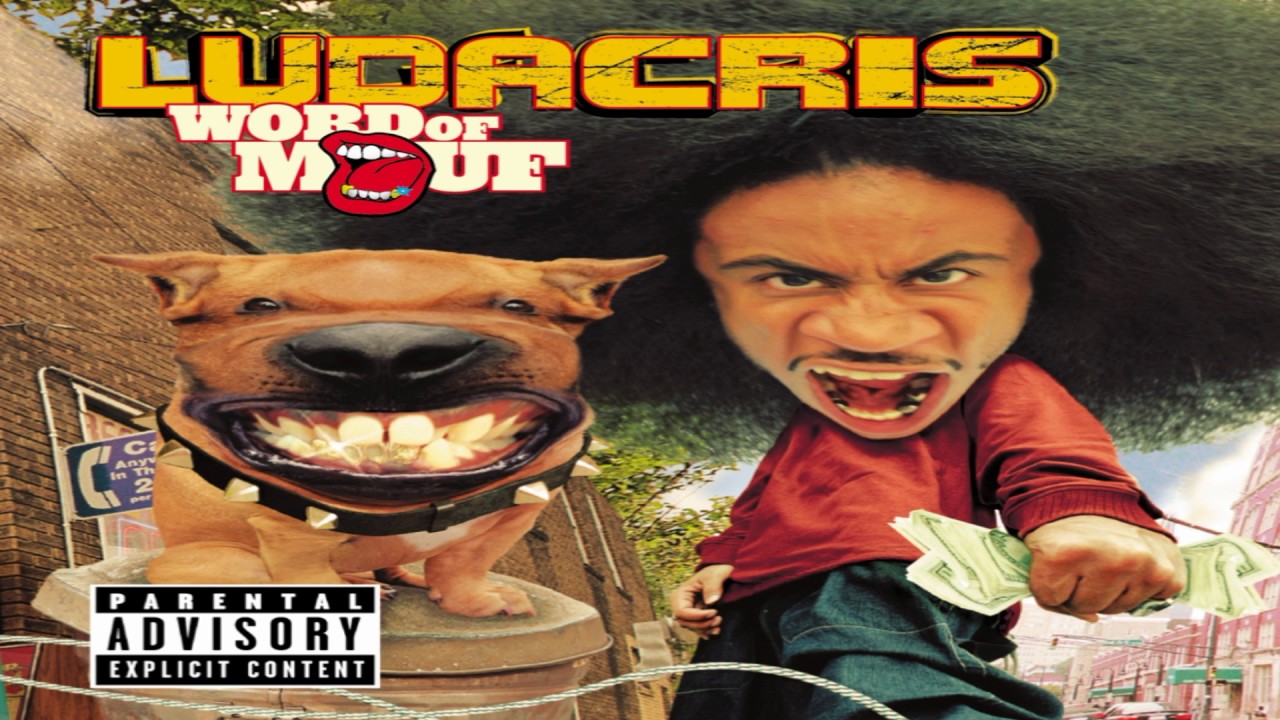 Ludacris - Rollout Slowed