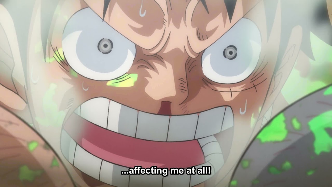 luffy take the poison to save everyone 111